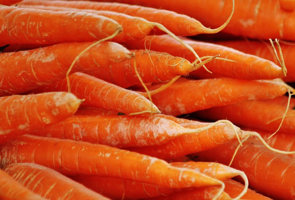 Can Rabbits Eat carrot