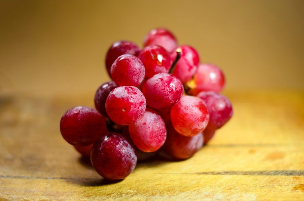 can rabbits eat grapes