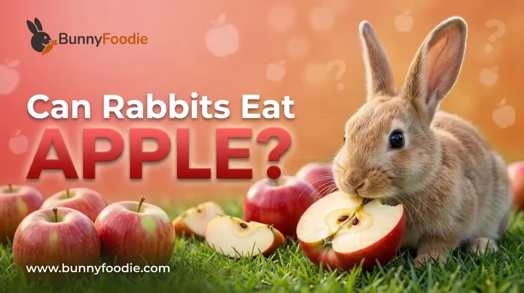 Can Rabbits Eat apple