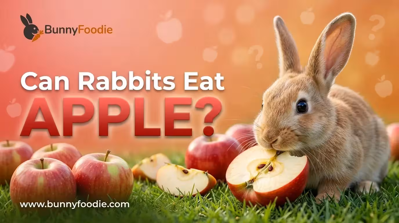 Can Rabbits Eat apple