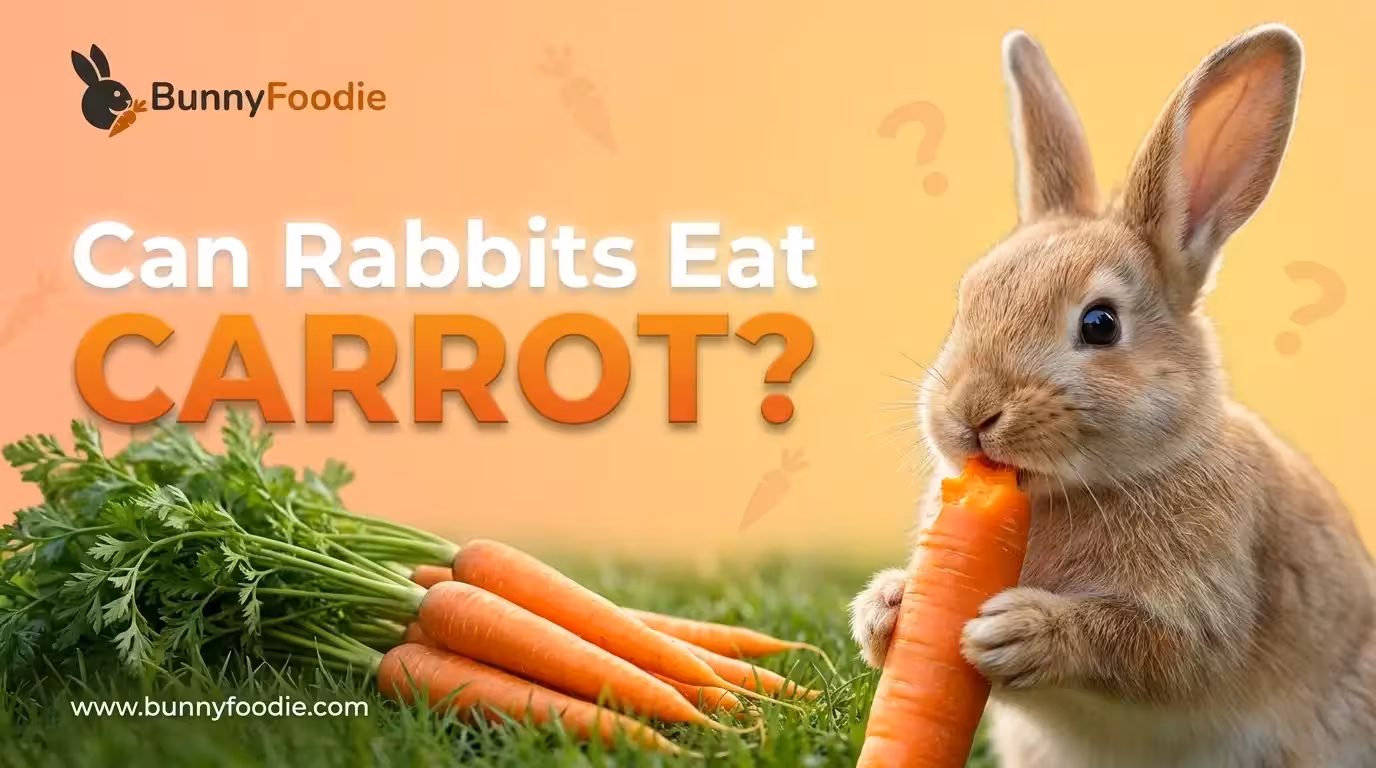 Can Rabbits Eat carrot