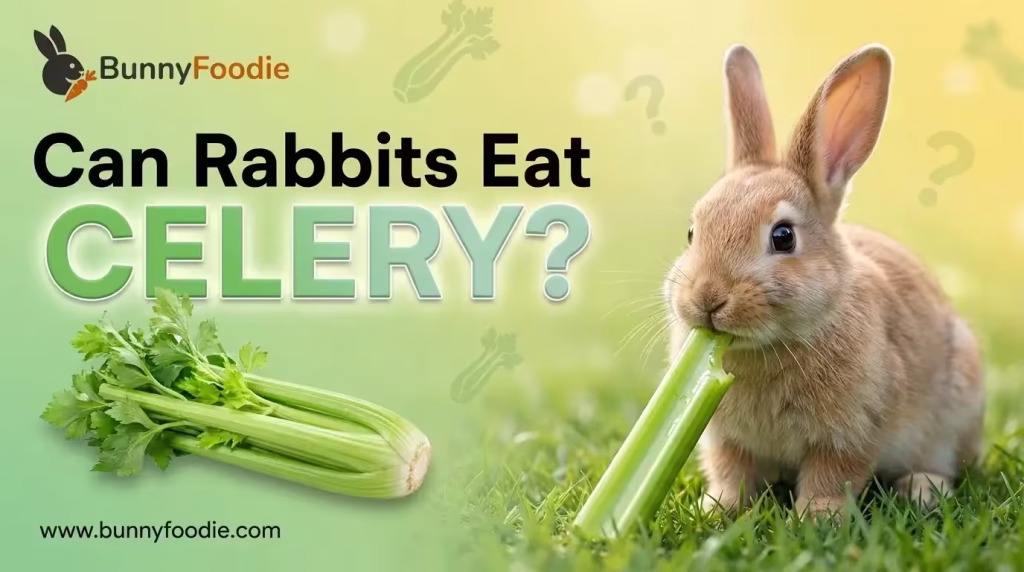 can rabbits eat celery
