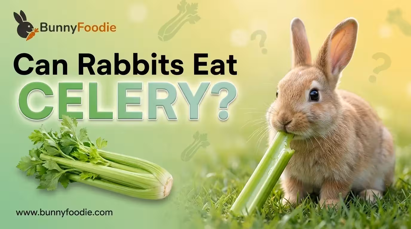 can rabbits eat celery